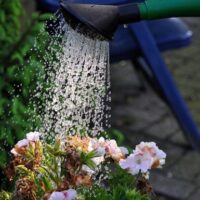 Limpiezas Garman servicio de mantenimiento de jardín